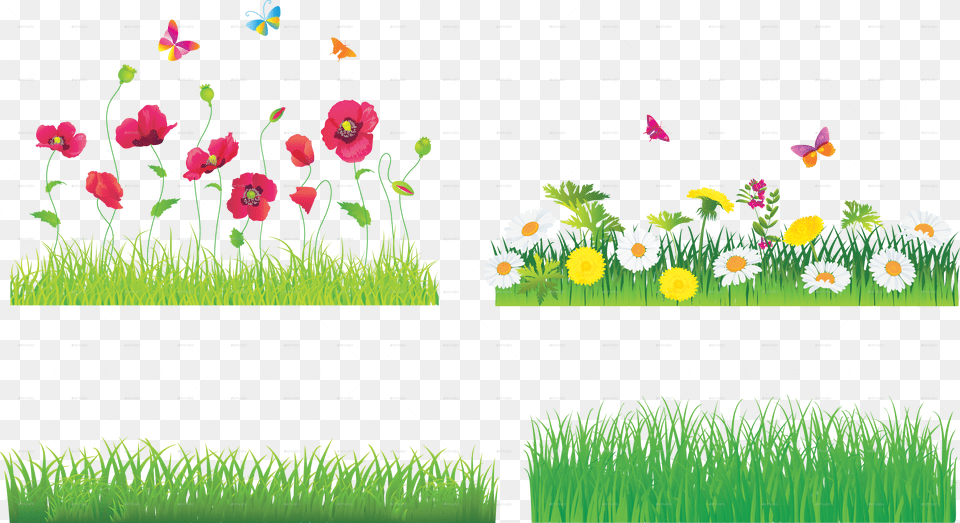 Flowers And Grass, Daisy, Plant, Flower, Petal Free Png
