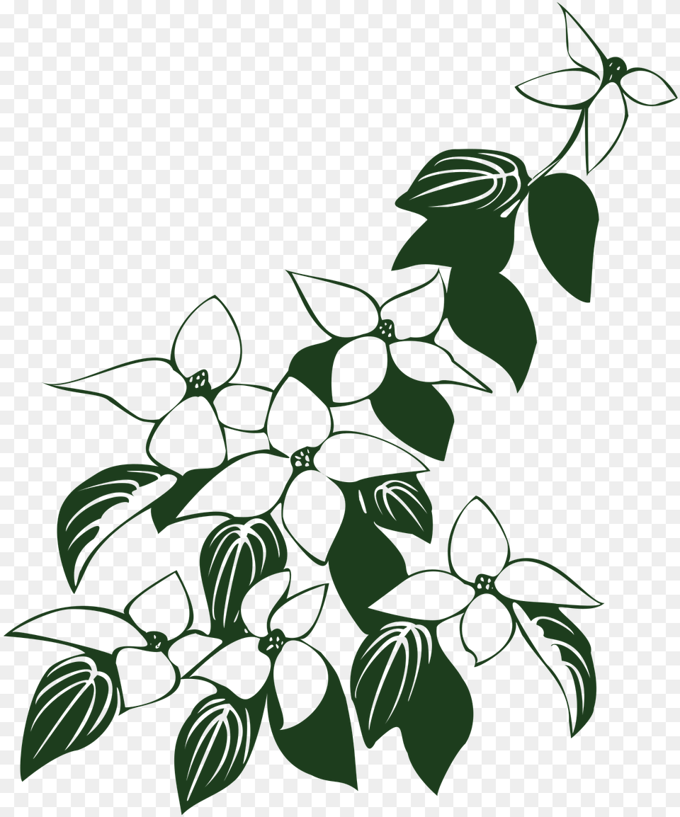 Flowers And Leaf Art Clipart, Green, Herbal, Herbs, Plant Free Png Download