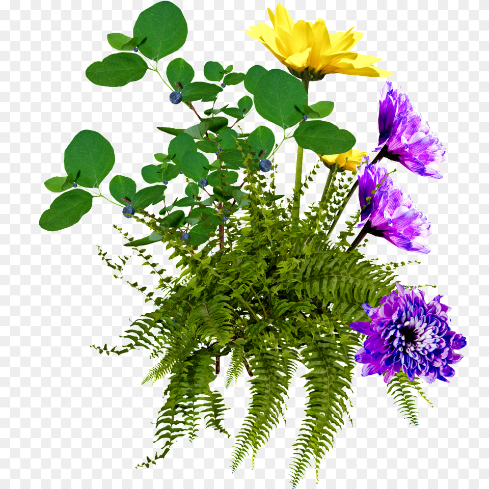 Flowers And Plants With Background Download, Plant, Flower, Flower Arrangement, Flower Bouquet Png Image