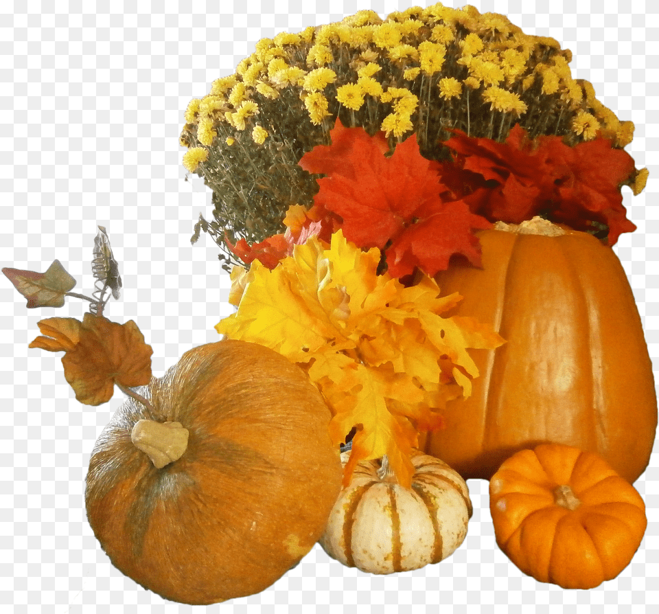 Flowers And Pumpkins Image Thanksgiving Pumpkins Free Png Download
