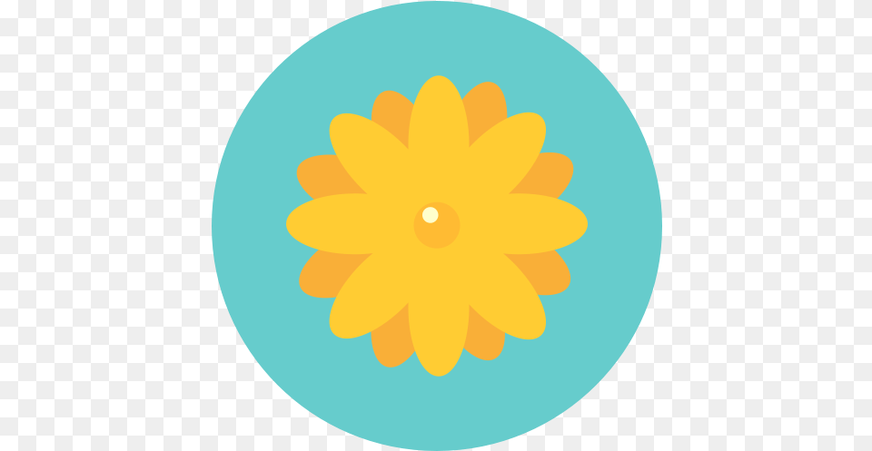 Flowers Aroma Nature Daisy Blossom Flower Icon Flat Flower Icon, Dahlia, Plant Png