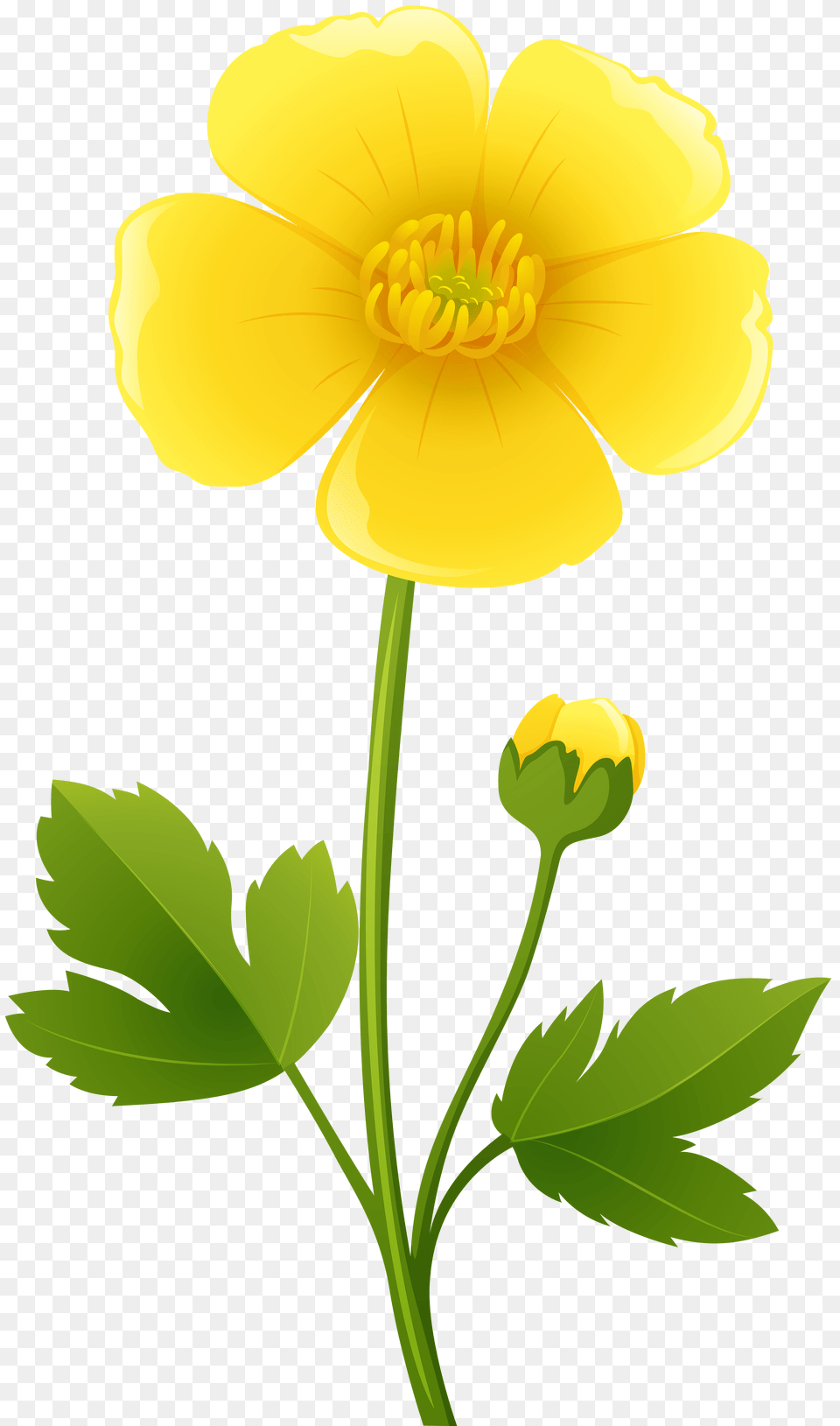 Flowers Art Clip Art, Anther, Daffodil, Flower, Plant Free Transparent Png