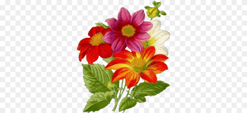 Flowers Birds I Vintage Botanical Flower, Dahlia, Plant, Flower Arrangement, Flower Bouquet Free Transparent Png