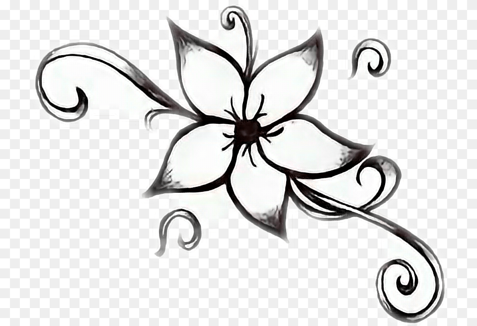 Flowers Black And White Beginner Easy Drawing Flowers, Art, Floral Design, Graphics, Pattern Free Png Download