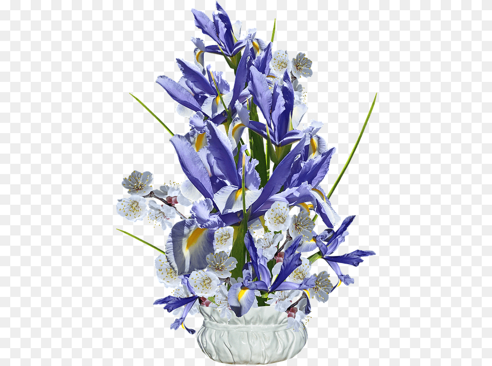 Flowers Blue Irises Photo On Pixabay Netted Iris, Flower, Flower Arrangement, Flower Bouquet, Plant Free Png Download