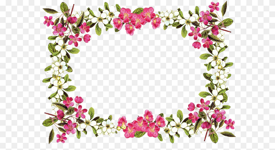 Flowers Borders Clipart, Plant, Flower, Art, Floral Design Png Image