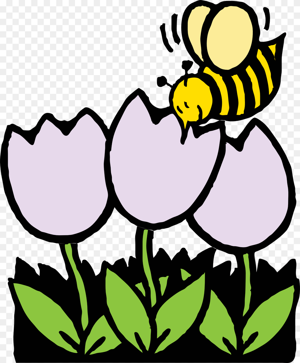 Flowers Borders Clipart April, Animal, Invertebrate, Insect, Wasp Free Png Download
