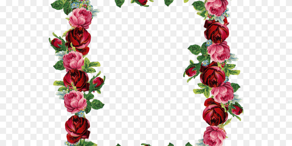 Flowers Borders Clipart Red Transparent Background Rose Border Clipart, Art, Floral Design, Flower, Graphics Free Png