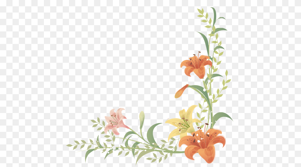 Flowers Borders Peach, Flower, Plant, Pattern, Art Png