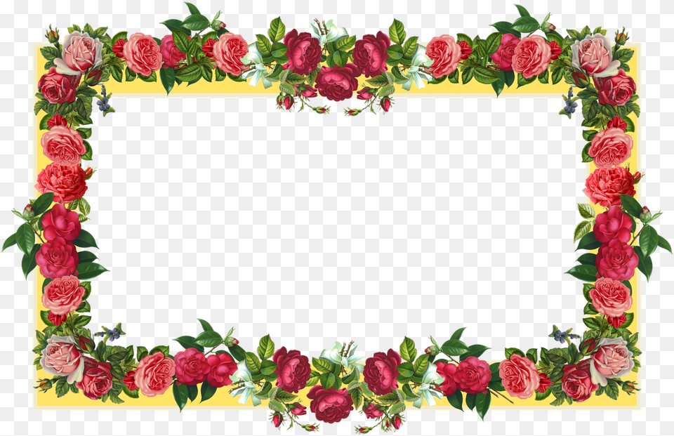 Flowers Borders Transparent Images All Border Design Of Rose Flower, Art, Floral Design, Graphics, Pattern Free Png