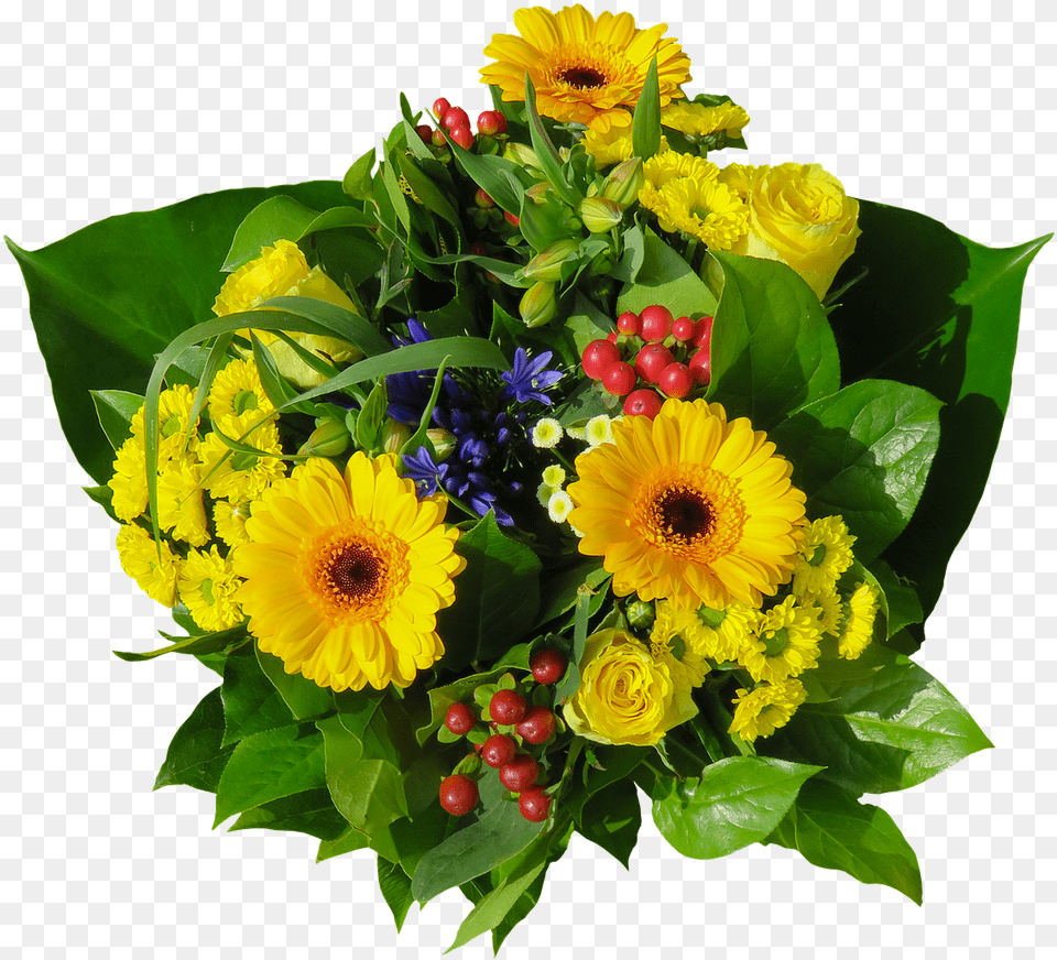 Flowers Bouquet Isolated Pixabay Flower Bouquet, Flower Arrangement, Flower Bouquet, Plant, Anemone Free Png