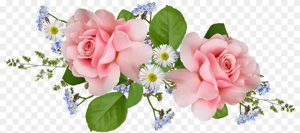 Flowers Bouquet Pink Buqu De Rosas, Flower, Flower Arrangement, Flower Bouquet, Plant Png