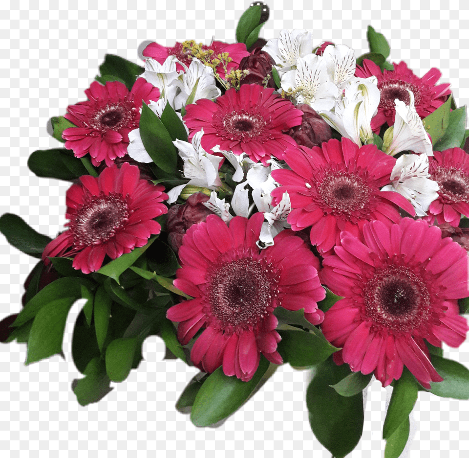 Flowers Bucket Red Redwhite White Redflowers Bouquet, Flower, Flower Arrangement, Flower Bouquet, Plant Free Png