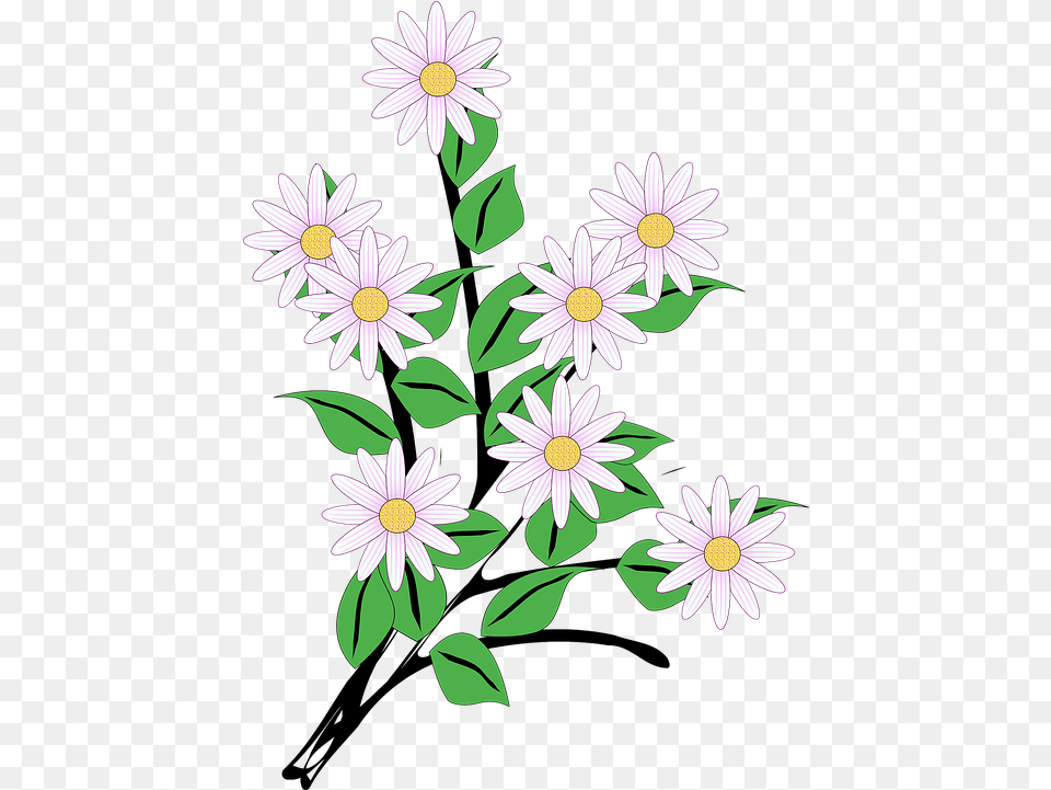 Flowers Bunch Spring Bunch Of Flowers Clip Art, Daisy, Flower, Plant, Pattern Png