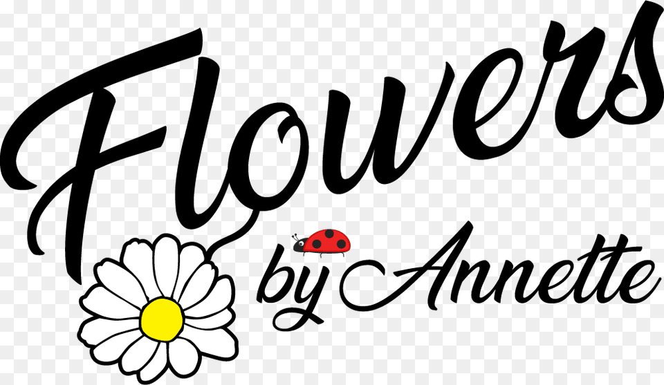 Flowers By Annette Daisy, Flower, Plant, Green, Text Png Image