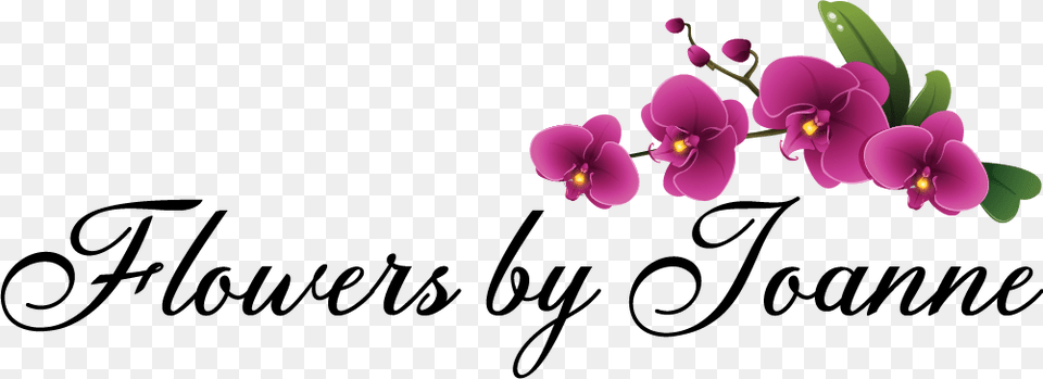 Flowers By Joanne Moth Orchid, Flower, Plant Png