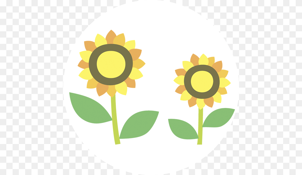 Flowers Circle, Flower, Plant, Sunflower, Disk Free Transparent Png