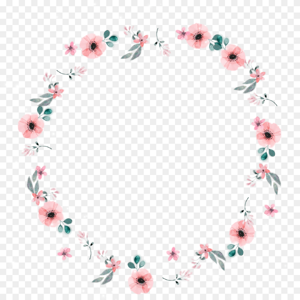 Flowers Circle Frame Beautiful Flower Circle Frames Transparent, Plant, Art, Floral Design, Graphics Free Png Download