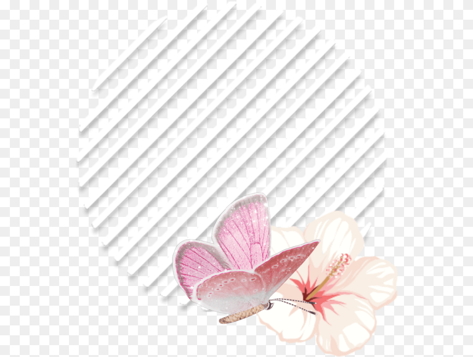 Flowers Circle Geometricshapes Geometric Frame Obkladinki V Instagram, Anemone, Anther, Flower, Petal Png Image