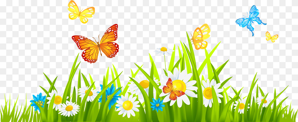 Flowers Clip Art, Daisy, Flower, Plant, Nature Free Png