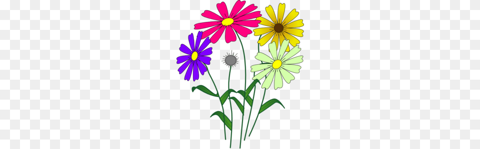 Flowers Clip Art, Daisy, Flower, Plant, Chandelier Png