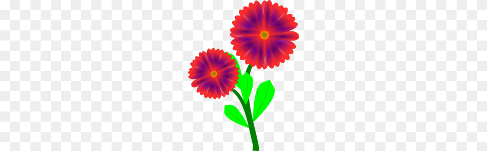 Flowers Clip Art, Daisy, Flower, Petal, Plant Free Transparent Png