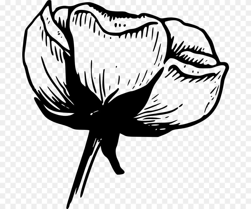 Flowers Clip Art Black And White Black And White Photo Simple, Gray Free Png Download