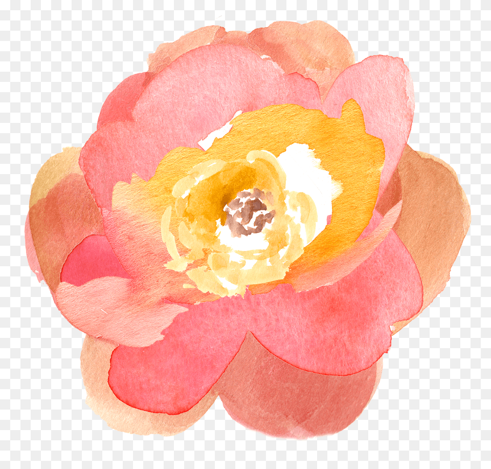 Flowers Clip Art Flower Water Color Clipart, Anemone, Petal, Plant, Dahlia Free Transparent Png