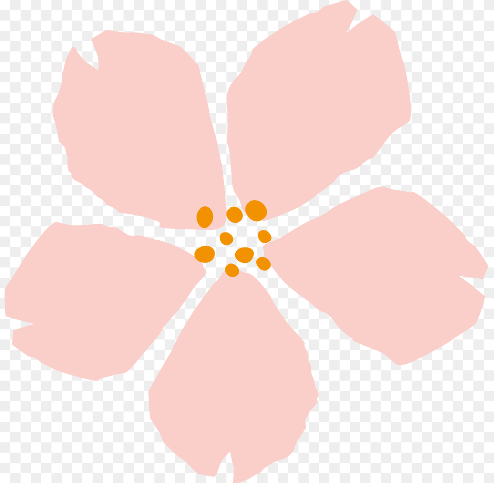 Flowers Clipart, Flower, Petal, Plant, Hibiscus Png