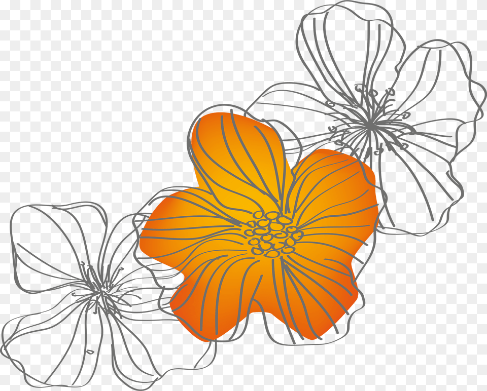 Flowers Clipart, Plant, Petal, Pattern, Graphics Free Png Download