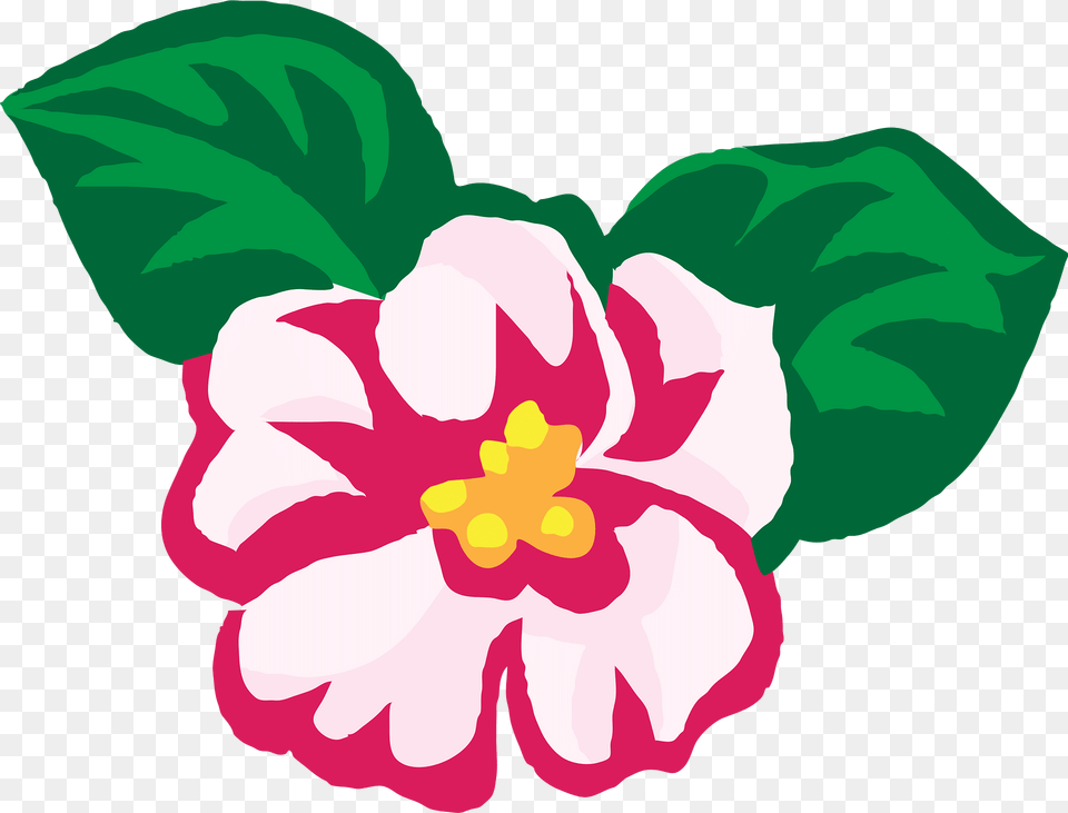 Flowers Clipart, Flower, Hibiscus, Plant, Baby Png Image