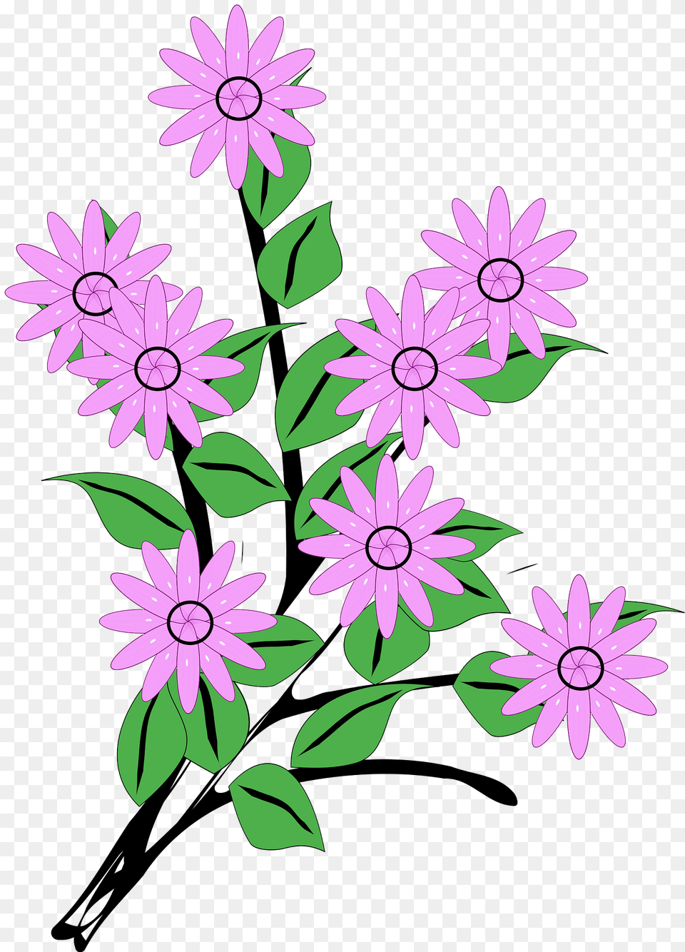 Flowers Clipart, Art, Daisy, Floral Design, Flower Free Png