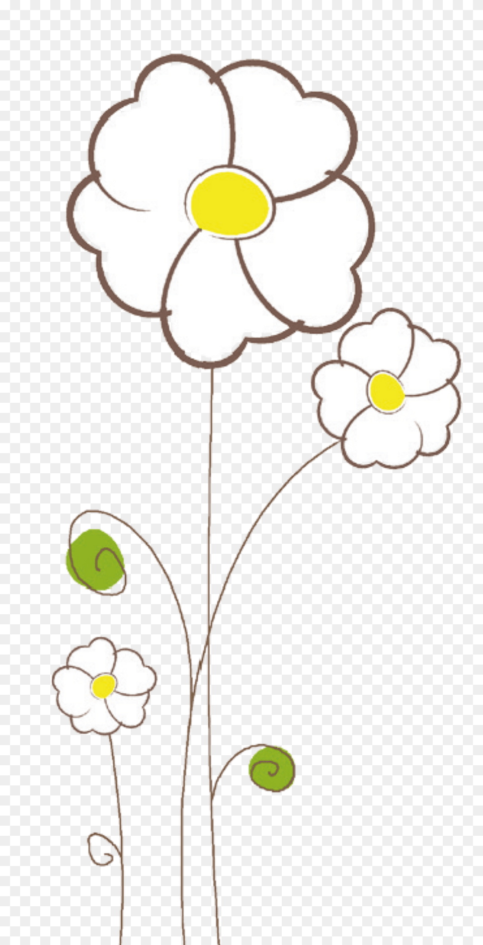 Flowers Clipart, Anemone, Daisy, Flower, Plant Free Png