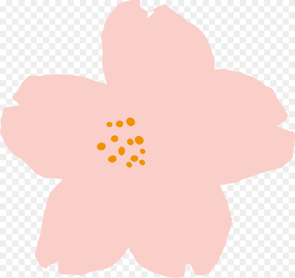 Flowers Clipart, Anemone, Flower, Plant, Anther Free Transparent Png