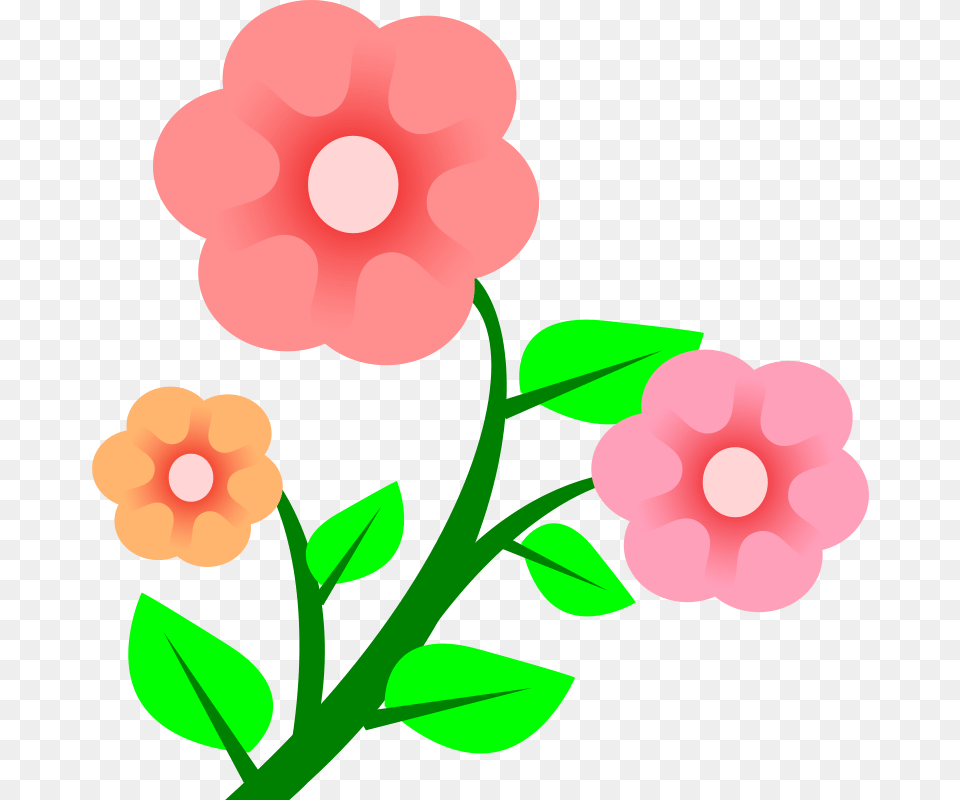 Flowers Clipart, Anemone, Flower, Petal, Plant Png Image