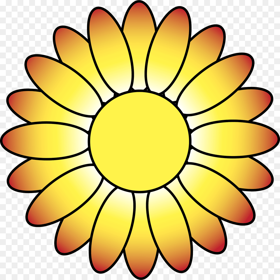Flowers Clipart, Daisy, Flower, Petal, Plant Free Png Download