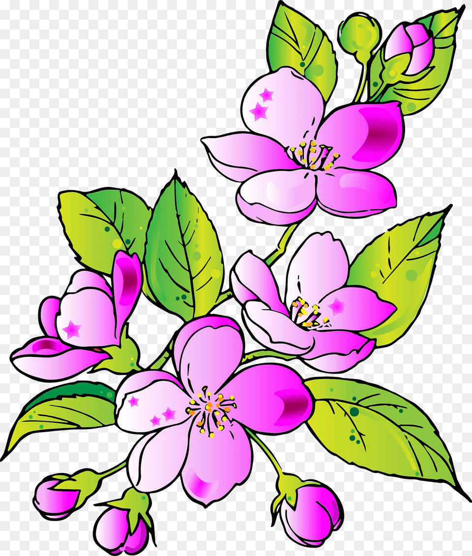 Flowers Clipart, Flower, Plant, Purple, Art Png Image