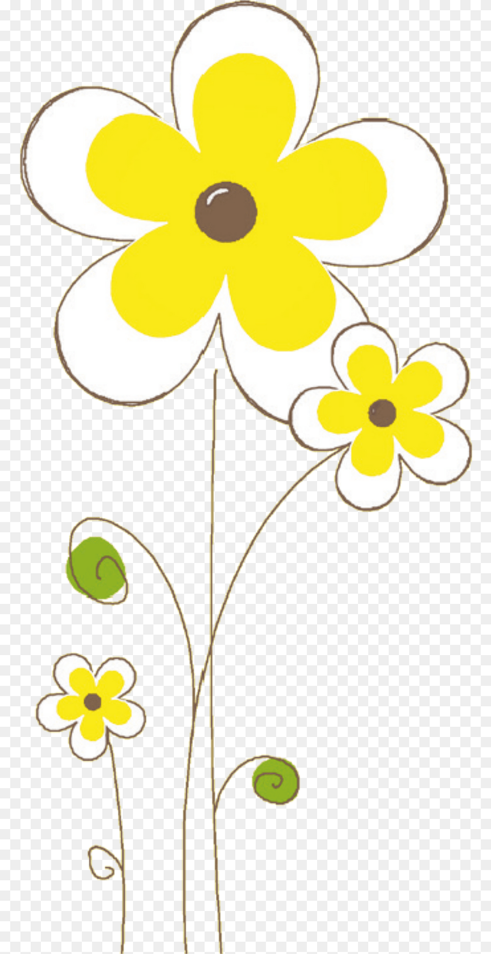 Flowers Clipart, Art, Daisy, Floral Design, Flower Free Png