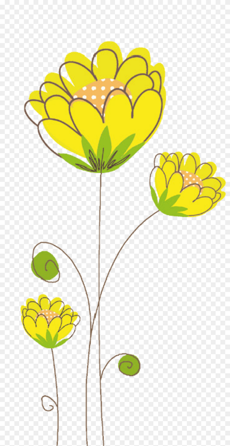 Flowers Clipart, Art, Floral Design, Graphics, Pattern Free Png