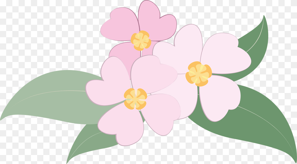 Flowers Clipart, Anemone, Flower, Petal, Plant Free Png