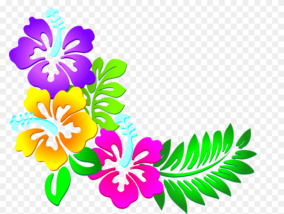Flowers Clipart, Art, Floral Design, Flower, Graphics Png Image