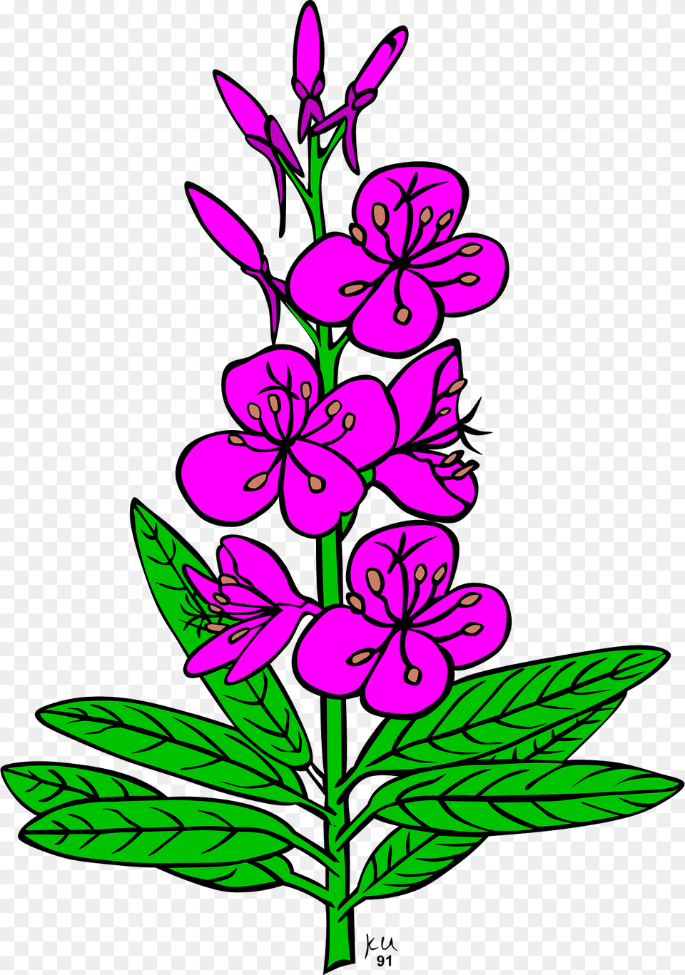 Flowers Clipart, Flower, Plant, Purple, Geranium Png Image