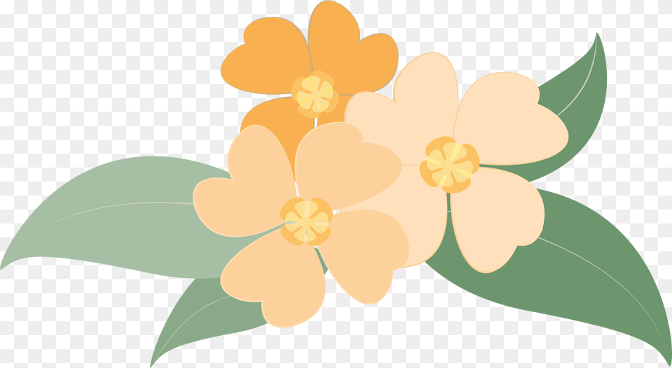 Flowers Clipart, Plant, Pattern, Graphics, Flower Png Image