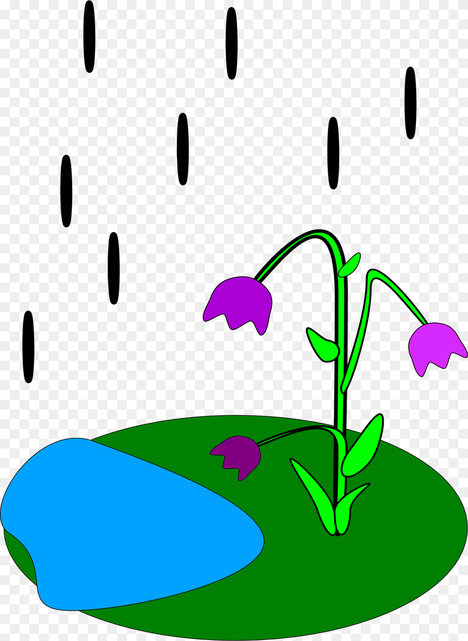 Flowers Clipart, Flower, Plant, Purple, Pattern Png Image