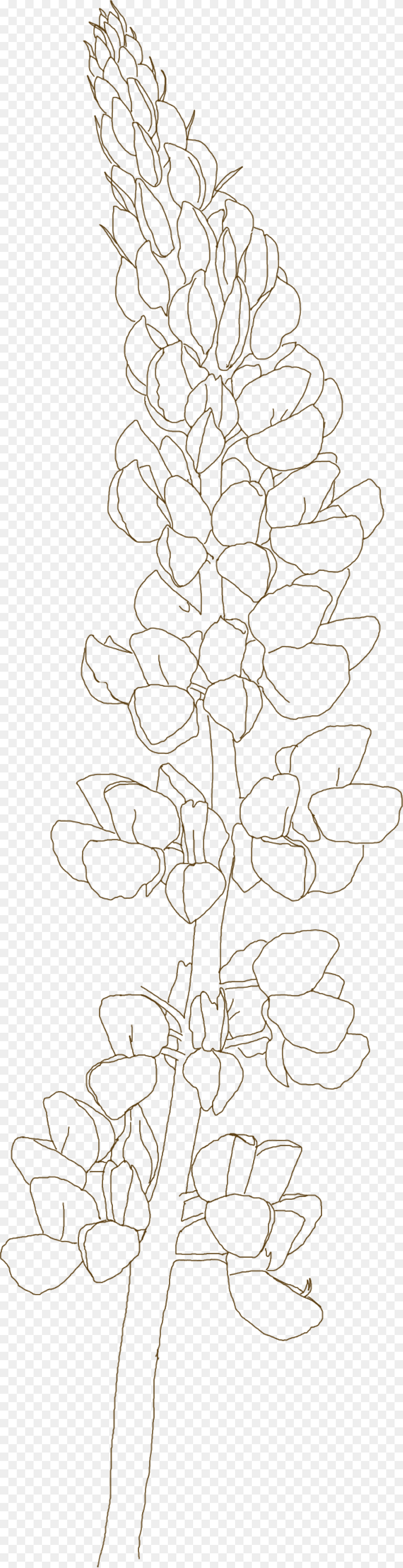 Flowers Clipart Bluebonnet Floral Design, Conifer, Plant, Tree, Nature Free Png