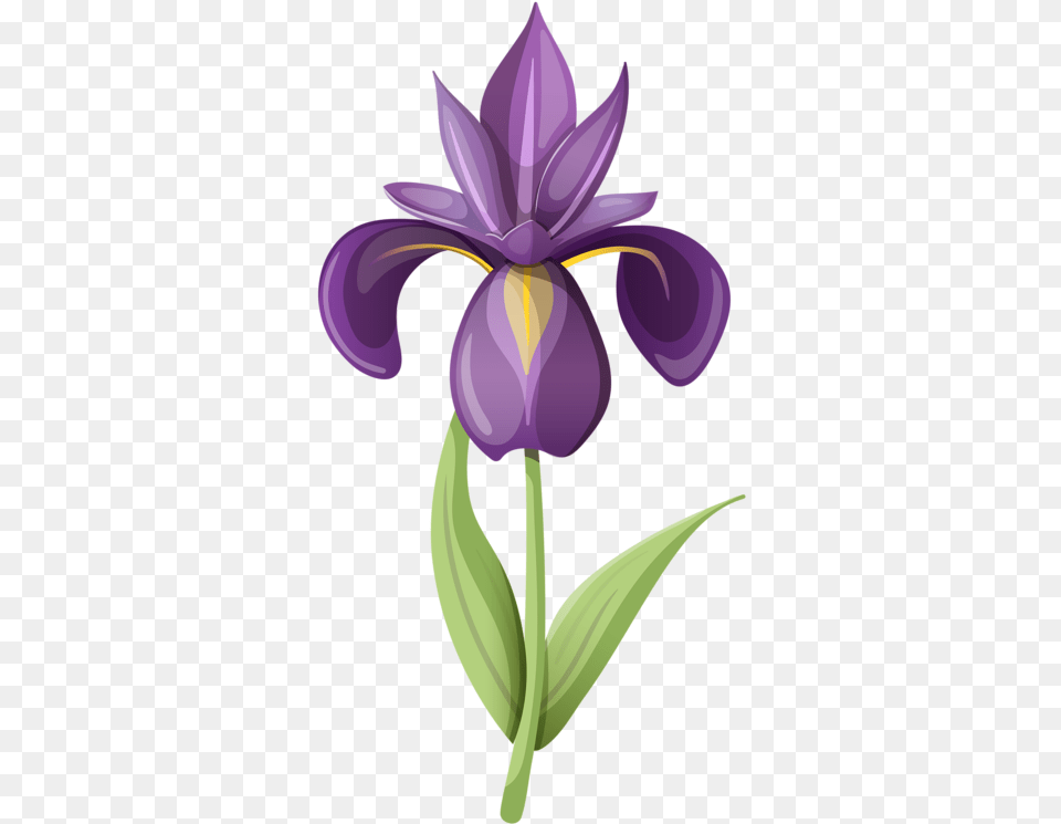 Flowers Clipart Bluebonnet Picture Iris Flower Iris Clip Art, Plant, Purple, Petal Png