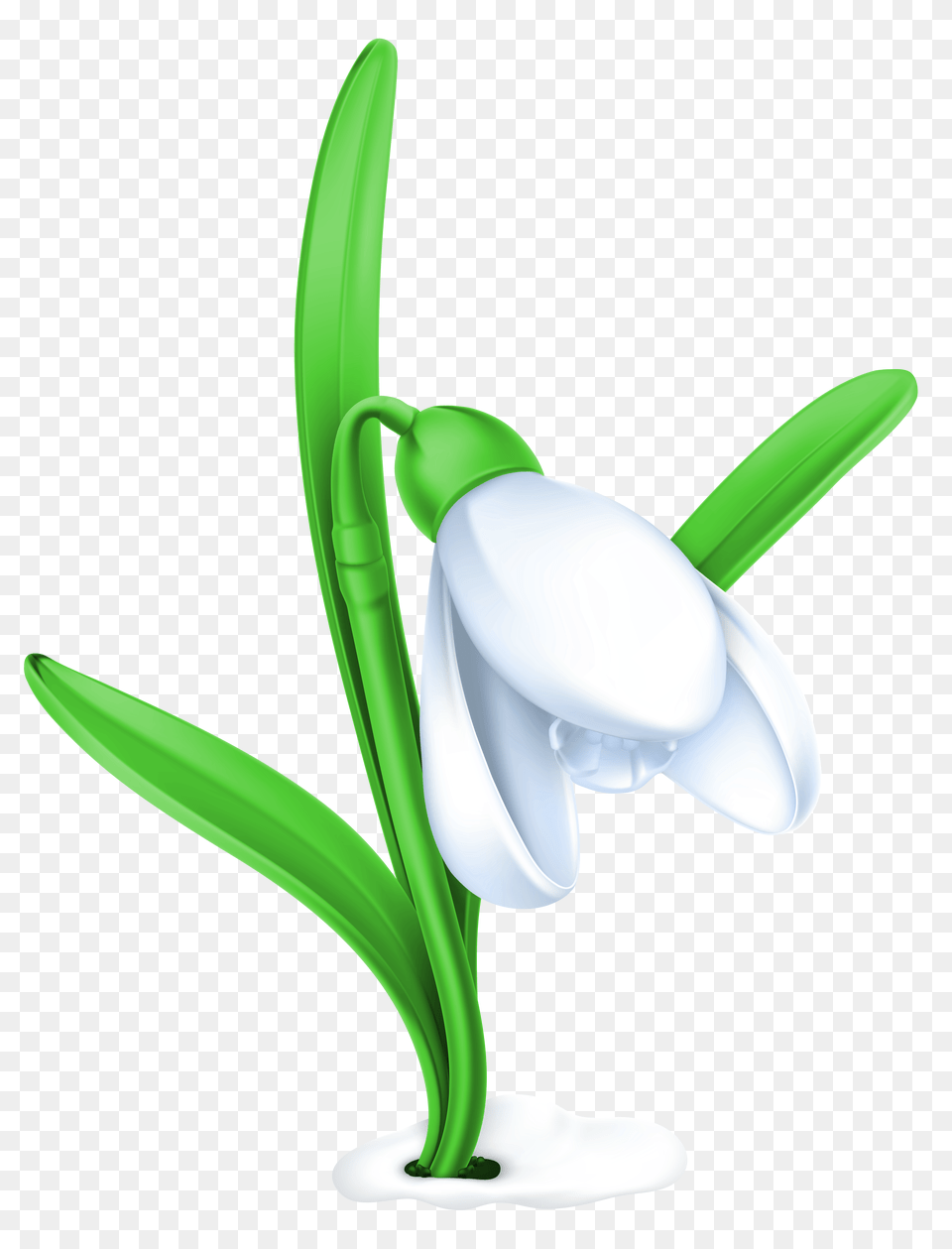 Flowers Clipart Clip Art, Flower, Plant, Amaryllidaceae, Device Png