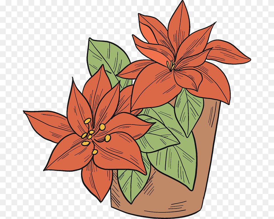Flowers Clipart In Or Vector Format Poinsettia, Flower, Leaf, Plant, Potted Plant Free Png