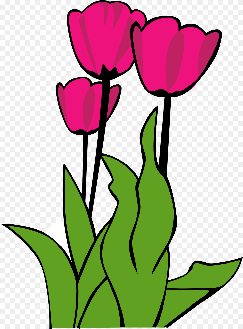 Flowers Clipart Tulip Transparent For Flower Clip Art Tulips, Petal, Plant, Person Png Image
