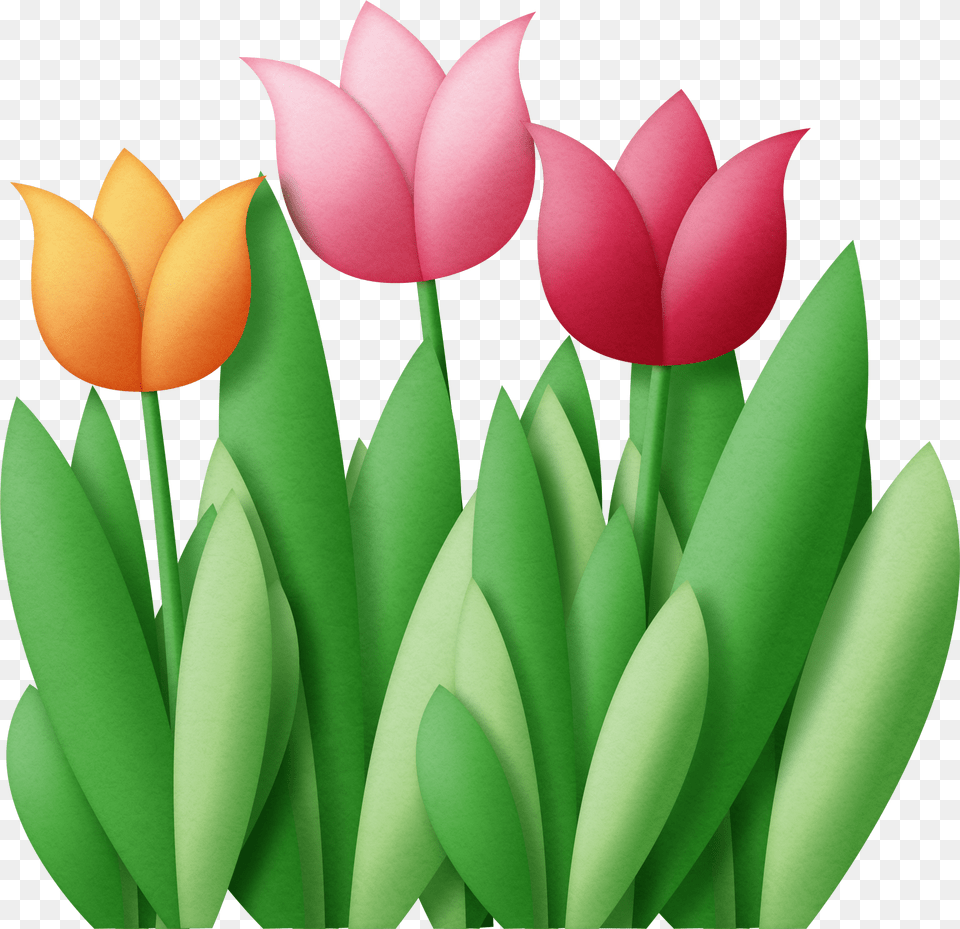 Flowers Cliparts, Flower, Plant, Petal, Tulip Free Png